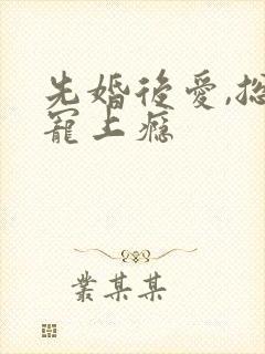 先婚后爱,总裁宠上瘾