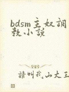 bdsm主奴调教小说