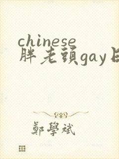 chinese胖老头gay日本封面