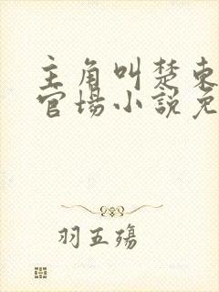 主角叫楚东恒的官场小说免费阅读