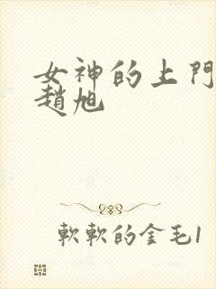 女神的上门贵婿赵旭