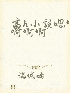 高h小说嗯啊哈啊啊啊封面