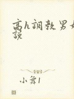 高h调教男奴小说