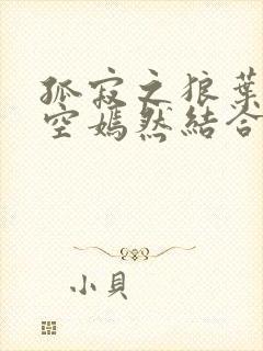 孤寂之狼叶凡司空嫣然结合封面