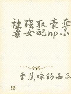 被强取豪夺的恶毒女配np小说在线阅读