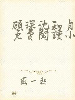 顾琛沈知月全文免费阅读小说封面