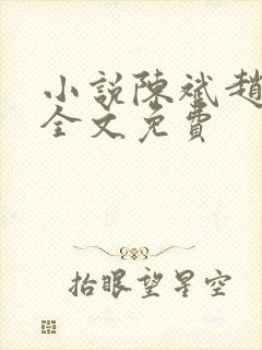 小说陈斌赵心媚全文免费封面