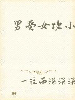 男受女攻小说
