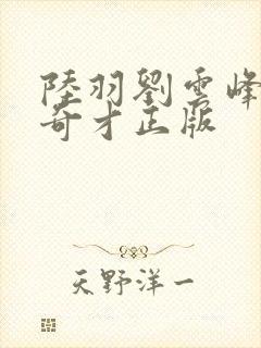陆羽刘云峰鸿途奇才正版封面