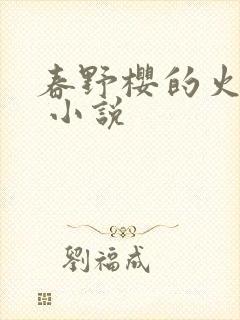 春野樱的火影传 小说封面
