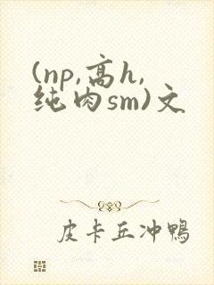 (np,高h,纯肉sm)文