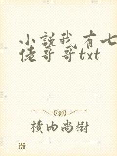 小说我有七个大佬哥哥txt