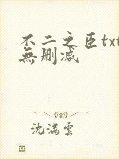 不二之臣txt无删减封面