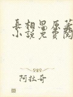 长相思原著全本小说免费阅读