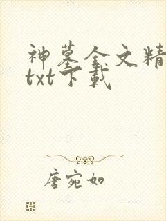 神墓全文精校版txt下载