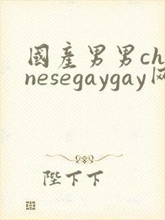 国产男男chinesegaygay网站