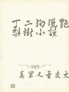 丁二狗猎艳人生梨树小说