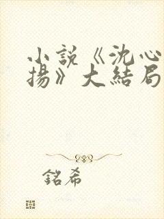 小说《沈心窈祁扬》大结局封面