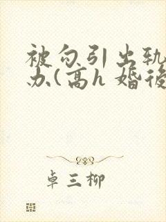 被勾引出轨怎么办(高h 婚后np)