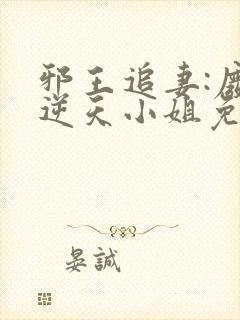 邪王追妻:废材逆天小姐免费阅读封面
