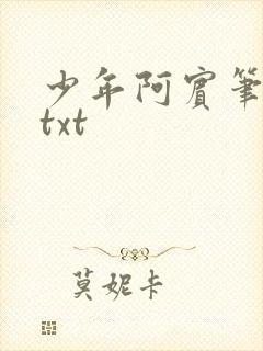 少年阿宾笔趣阁txt