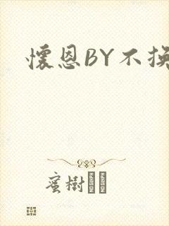 怀恩BY不换