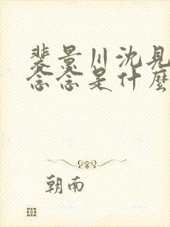 裴景川沈见欢许念念是什么小说封面