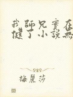 我师兄实在太稳健了小说无删减版封面