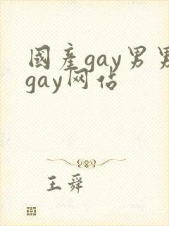 国产gay男男gay网站