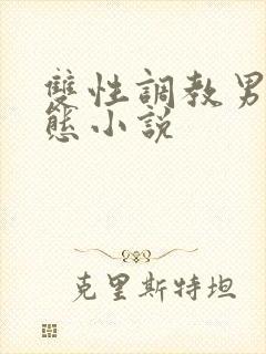 双性调教男奴变态小说