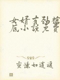 女婿有劲枪枪到底小说免费阅读封面