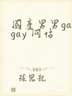 国产男男gaygay 网站