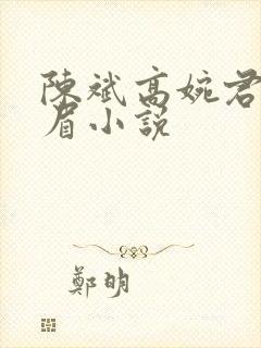 陈斌高婉君赵心眉小说