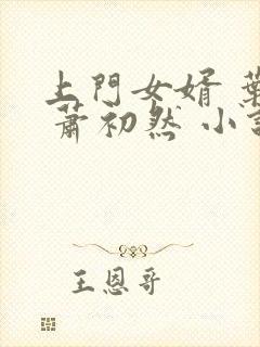 上门女婿 叶辰 萧初然 小说封面