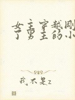 女主穿越刚好救了男主的小说