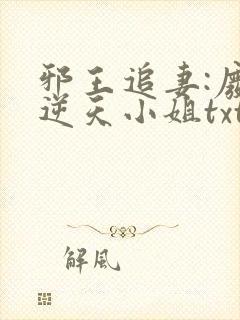邪王追妻:废材逆天小姐txt下载