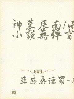 神墓辰南/雨馨小说无弹窗全文免费阅读