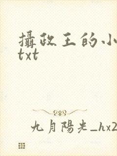 摄政王的小闲妻txt