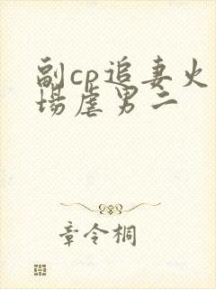 副cp追妻火葬场虐男二