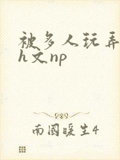 被多人玩弄调教h文np