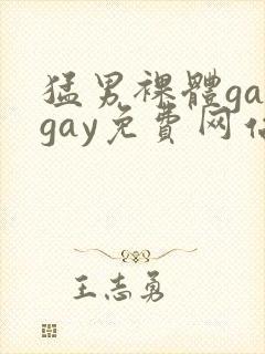 猛男裸体gaygay免费网站