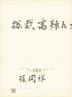 总裁高辣h文封面