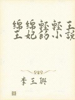 绵绵轻轻王爷与王妃的小说