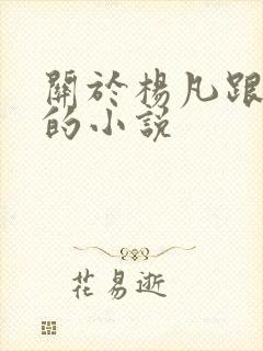 关于杨凡跟李灿的小说