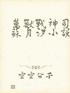 万兽战神司空靖苏月汐小说