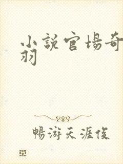 小说官场奇才陆羽