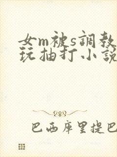 女m被s调教虐玩抽打小说