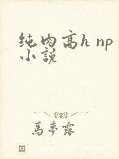 纯肉高h np小说封面