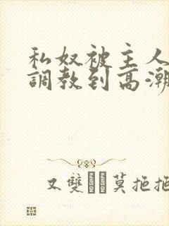 私奴被主人玩弄调教到高潮小说