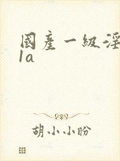 国产一级淫片91a